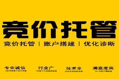 SEM推广技巧：实战案例教你打造爆款产品